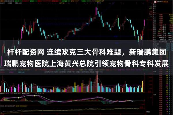 杆杆配资网 连续攻克三大骨科难题，新瑞鹏集团瑞鹏宠物医院上海黄兴总院引领宠物骨科专科发展